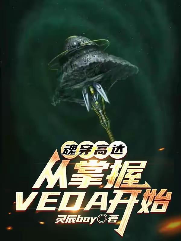 魂穿高达：从掌握VEDA开始