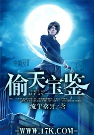 偷天宝鉴