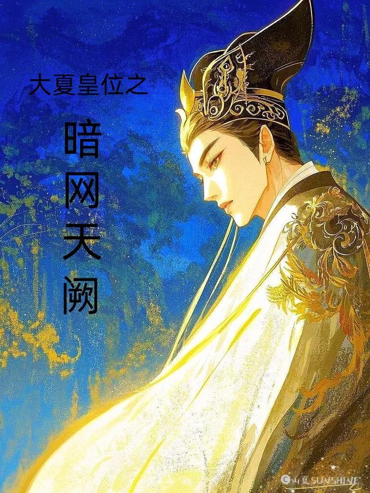 大夏皇位之暗网天阙