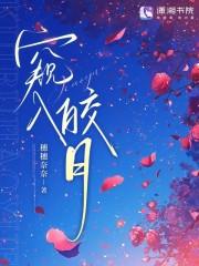 窥入皎月